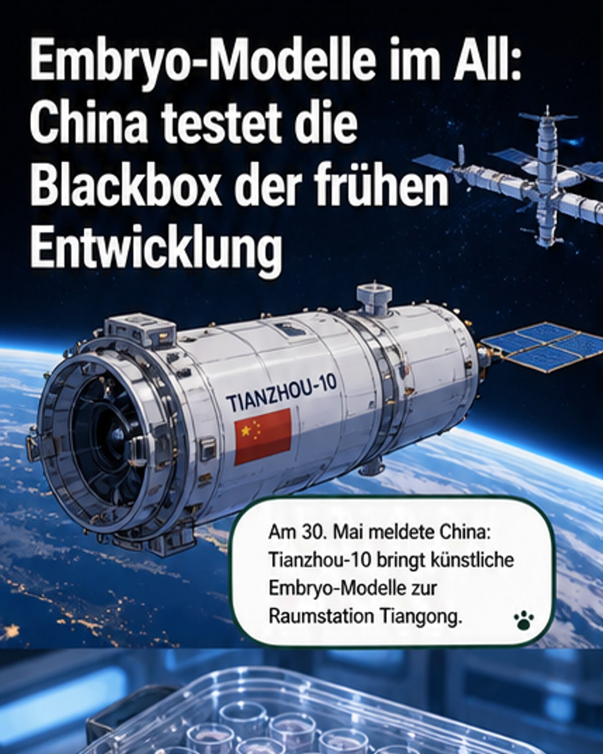 China schickt Embryonen ins All