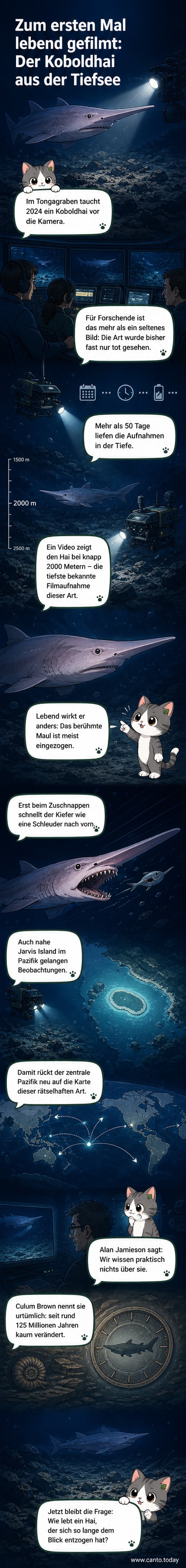 Ein Koboldhai im tiefen Pazifik, gefilmt in 2000 Metern Tiefe, mit spitzem Kopf und eingezogenem Maul.