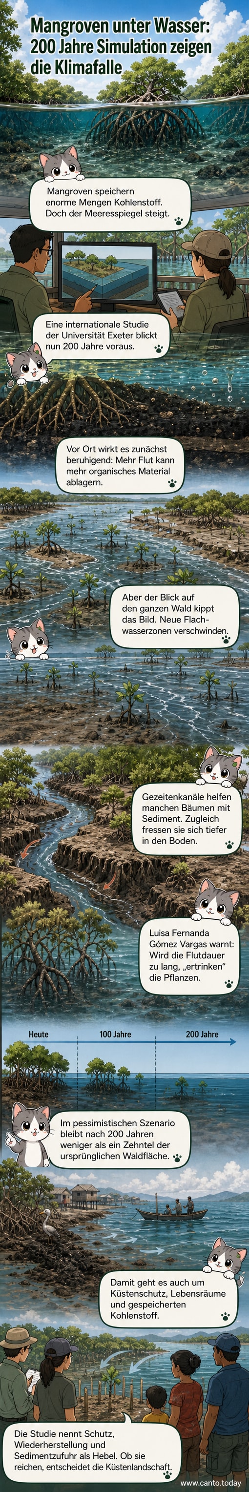 Illustration einer Mangrove, die langsam vom steigenden Meeresspiegel umspült wird, während kohlenstoffreiche Böden abgetragen werden.