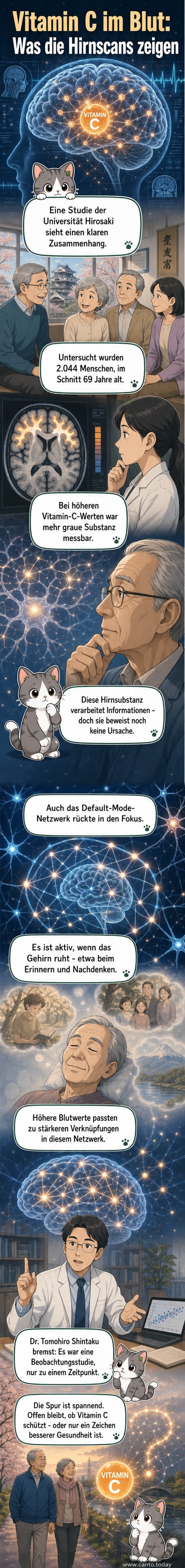 Illustration eines Gehirns mit farblich hervorgehobener grauer Substanz und einem Vitamin-C-Molekül im Blutstrom.