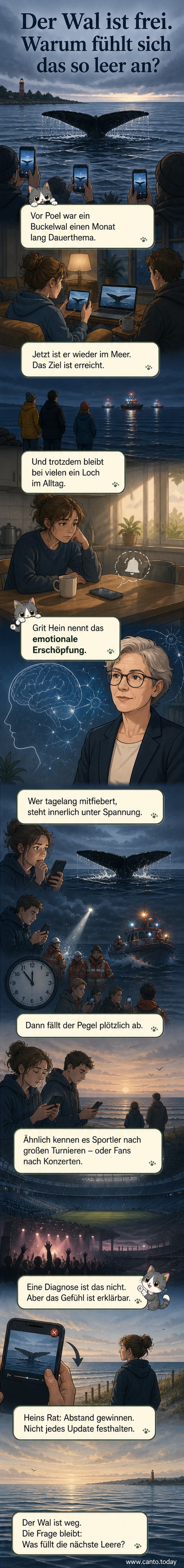 Ein gestrandeter Buckelwal vor der Küste, umgeben von aufmerksamen Rettern und Beobachtern. Im Hintergrund ein grauer Himmel über der Ostsee.