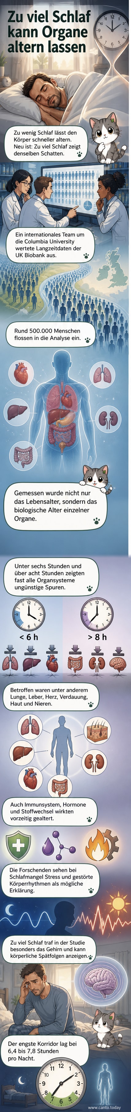 Illustration eines Menschen, der im Bett schläft, während um ihn herum altersbedingte Veränderungen an Haut, Herz und Gehirn symbolisch dargestellt werden.