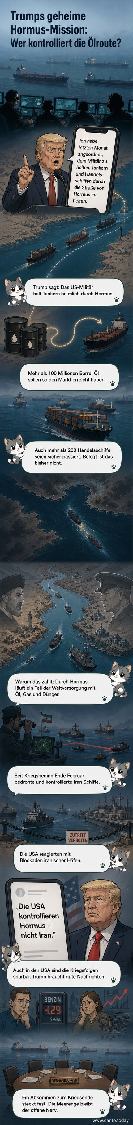 Illustration der Straße von Hormus mit Öltankern und US-Militärschiffen, während Rauchwolken über dem Horizont hängen.