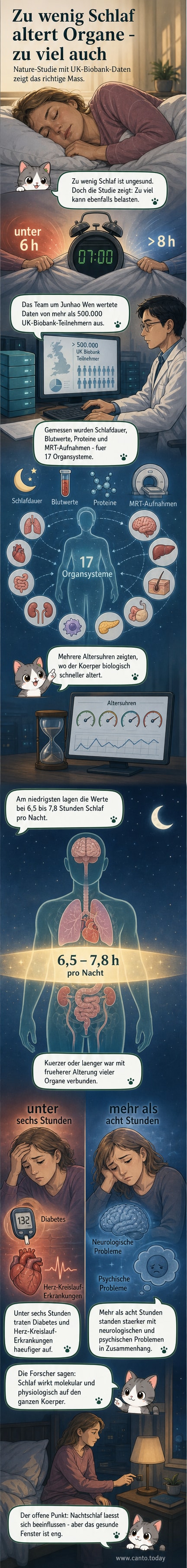 Eine Person schläft im Bett, daneben ein Diagramm, das die biologische Alterung bei unterschiedlicher Schlafdauer zeigt.