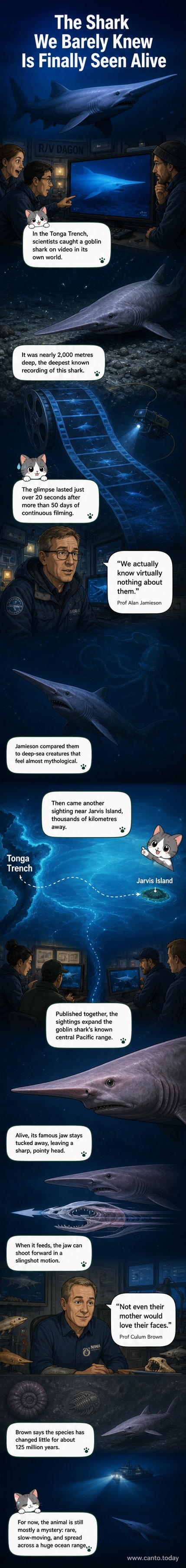 A goblin shark gliding through the dark deep-sea environment, its elongated snout and retracted jaws visible under submersible lights.
