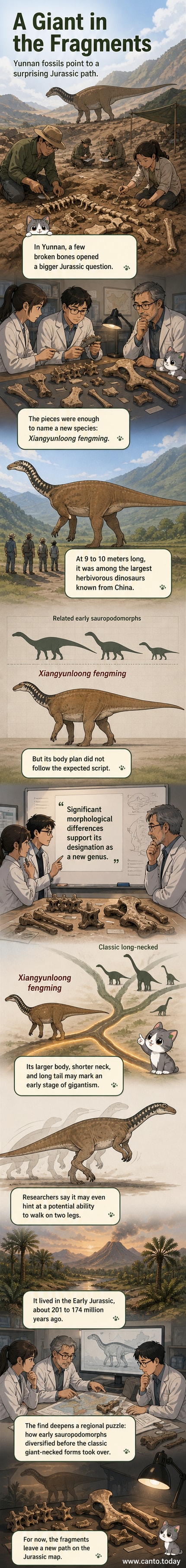 Illustration of Xiangyunloong fengming, a large herbivorous dinosaur with a short neck and long tail, standing in a Jurassic forest in Yunnan, China.