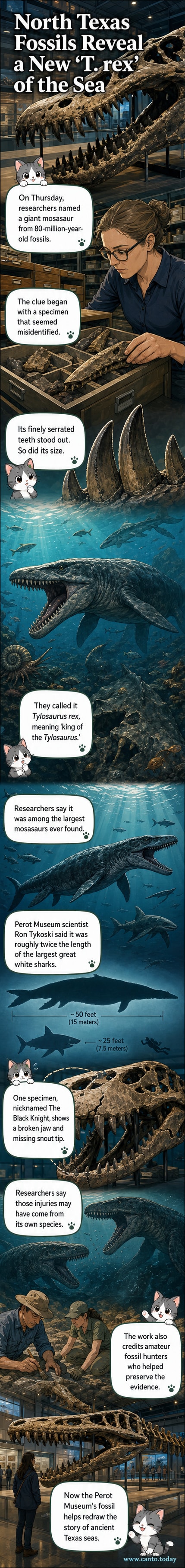 Illustration of Tylosaurus rex, a massive marine reptile with serrated teeth, swimming through ancient seas, based on fossils discovered in North Texas.