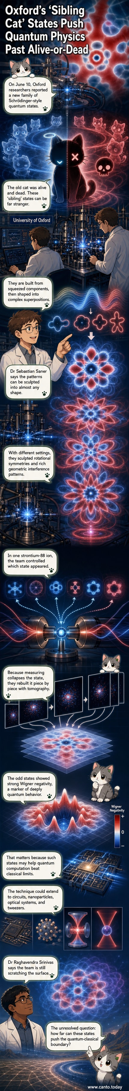 An illustrated quantum cat in a superposition state with multiple geometric patterns radiating around it, symbolizing advanced quantum superpositions beyond the classic alive-and-dead duality.