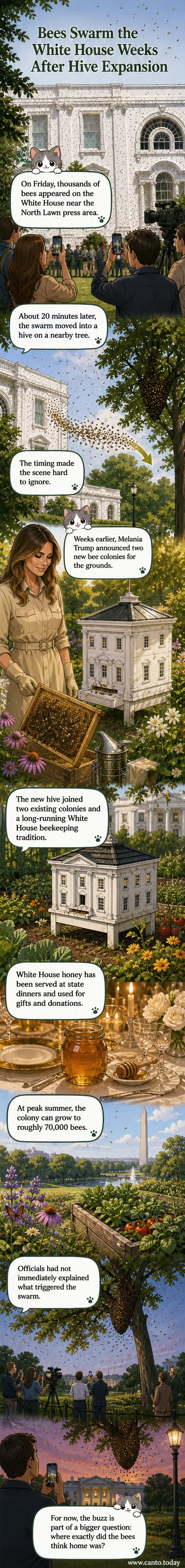 A dense swarm of bees clusters on the side of a tree near the White House North Lawn, with journalists in the background.