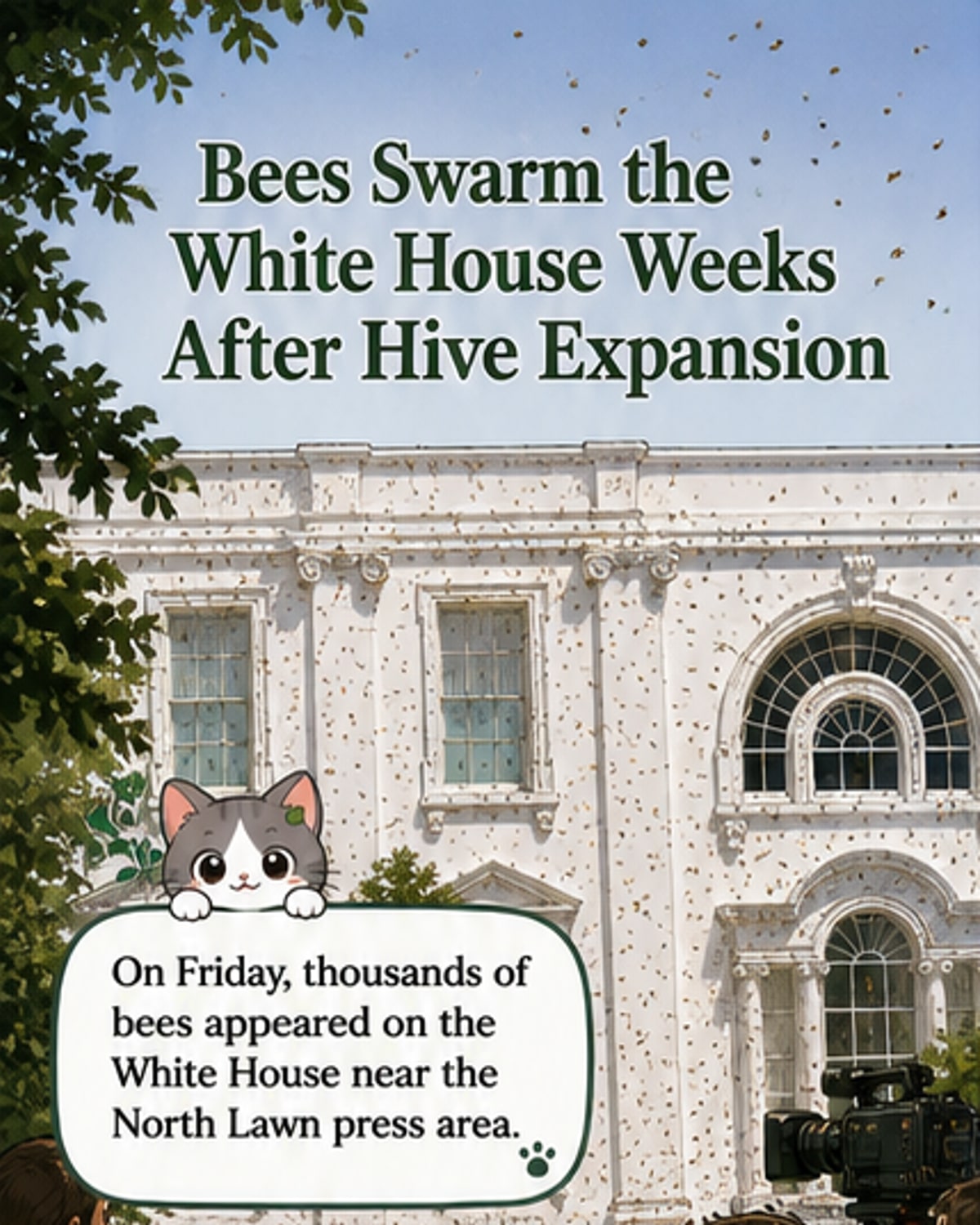 Thousands of bees swarm White House lawn