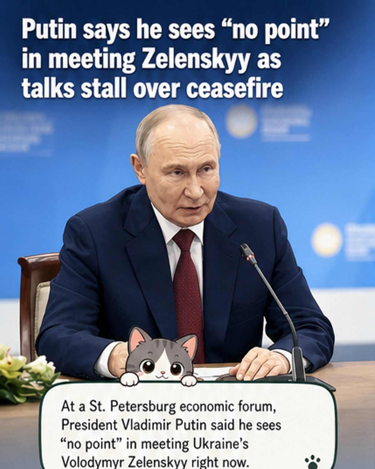 Putin Rejects Zelenskyy Meeting