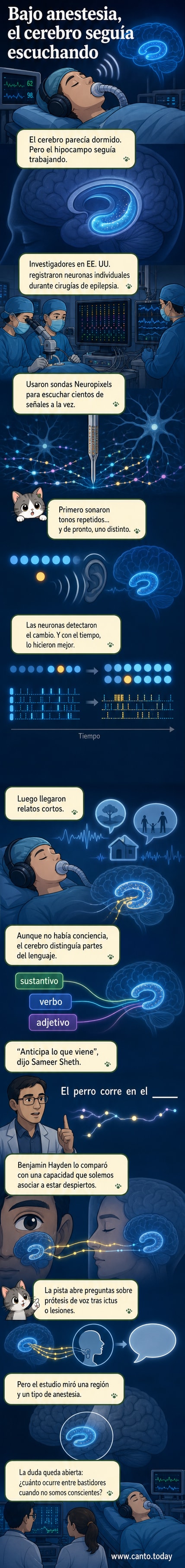 Ilustración de un cerebro con señales neuronales activas, representando el procesamiento de lenguaje y predicción de palabras durante la anestesia.