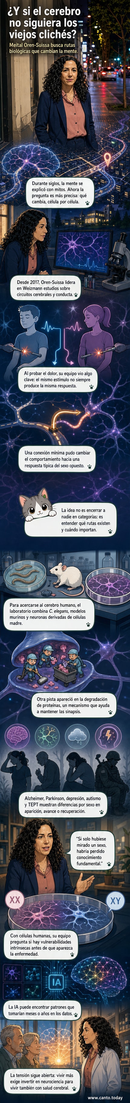 Ilustración de un cerebro con redes de conexiones neuronales diferenciadas por colores, mostrando variaciones entre sexos en la percepción del dolor y la susceptibilidad a enfermedades.