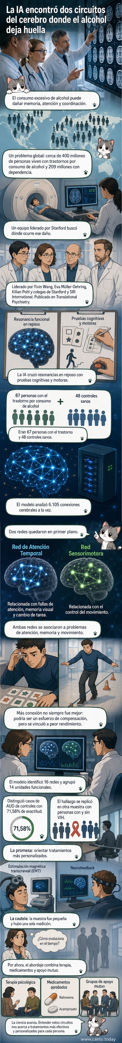 Ilustración de un cerebro humano con dos redes resaltadas: la Red de Atención Temporal y la Red Sensorimotora, mostrando conexiones alteradas por el consumo excesivo de alcohol.