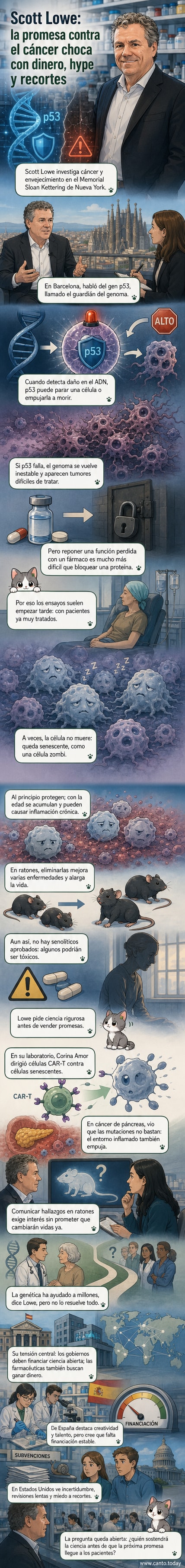 Ilustración de una célula con ADN dañado, señalizada por el gen p53, junto a células senescentes acumuladas en un tejido envejecido.