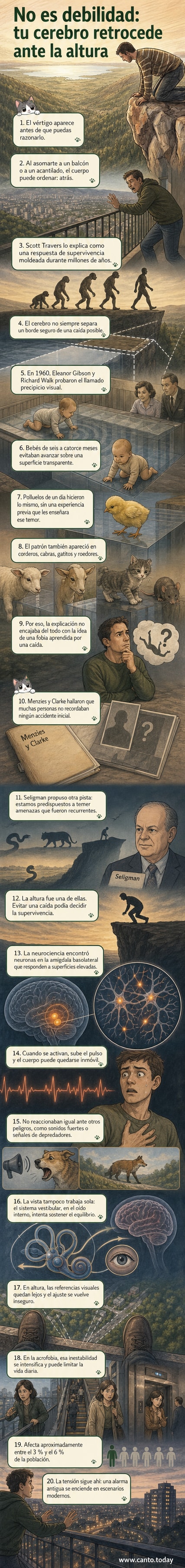 Ilustración de una persona en un balcón alto, con líneas nerviosas saliendo del cerebro hacia la amígdala, representando la respuesta automática al vértigo.