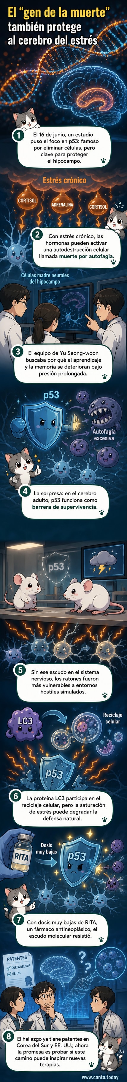 Ilustración de un cerebro con destellos moleculares en el hipocampo, mostrando cómo el gen p53 actúa como escudo contra el estrés celular.