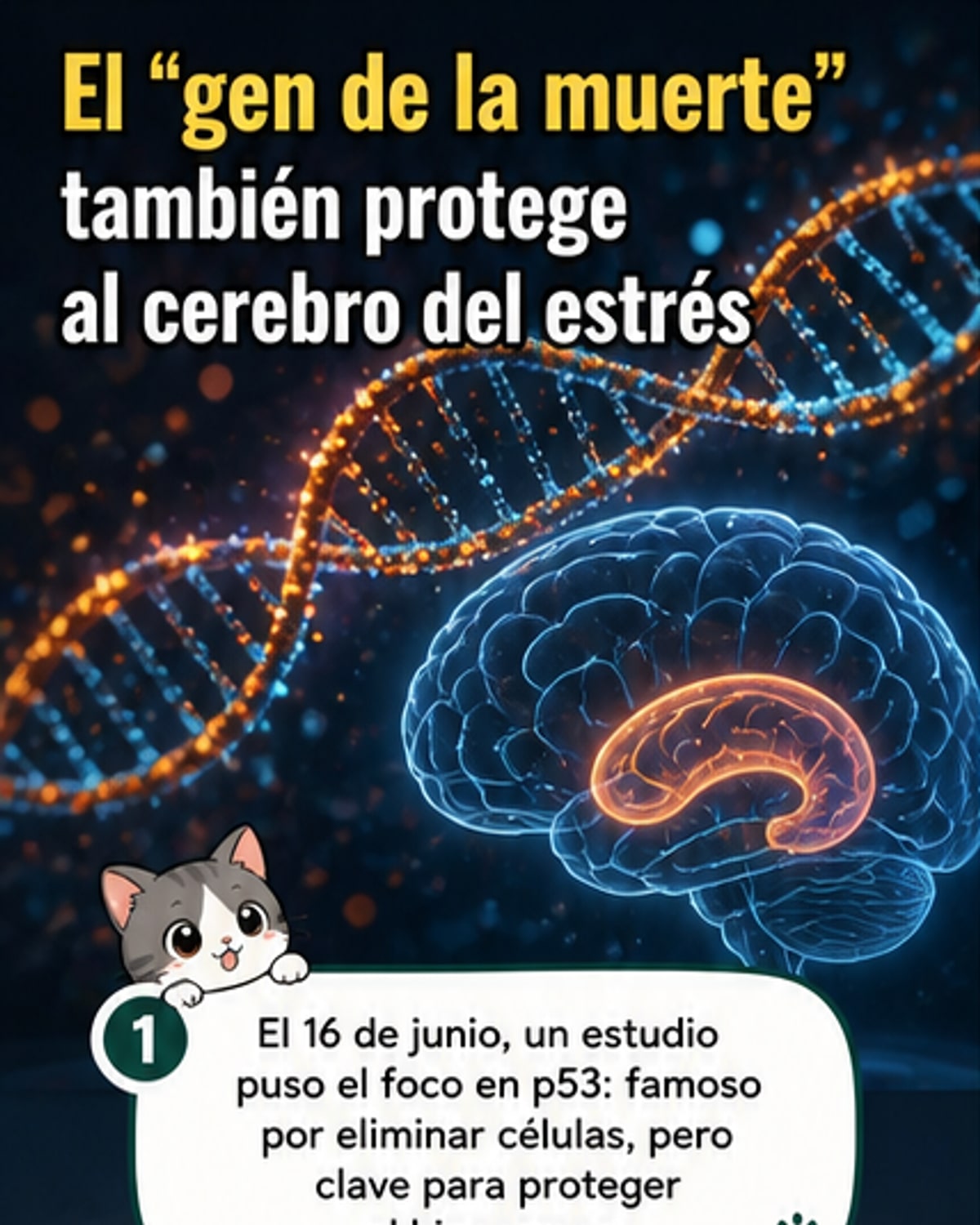 Ilustración de un cerebro con destellos moleculares en el hipocampo, mostrando cómo el gen p53 actúa como escudo contra el estrés celular.