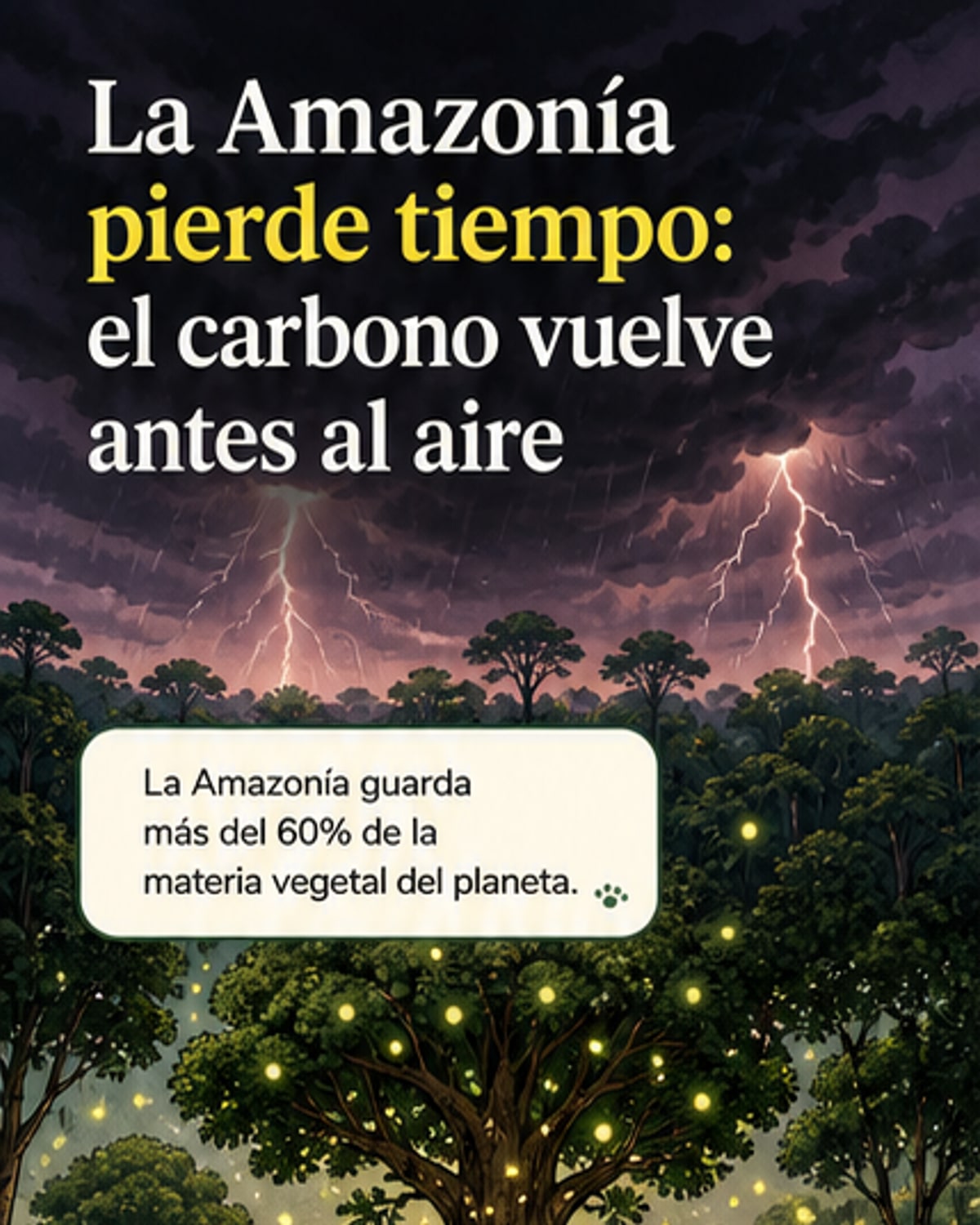La Amazonía libera carbono más rápido