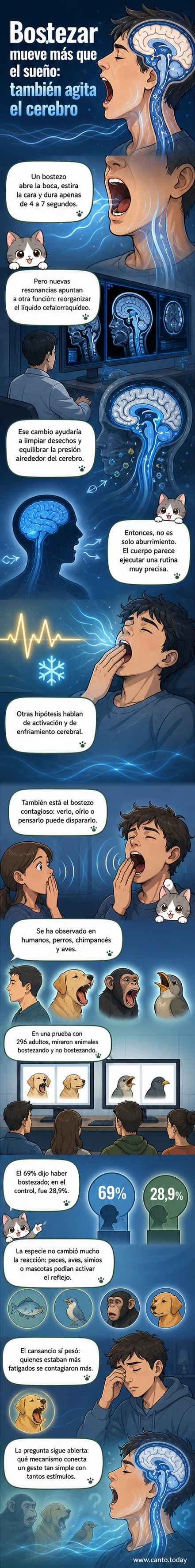 Ilustración de una persona bostezando con corte lateral que muestra el flujo de líquido cefalorraquídeo azul alrededor del cerebro.