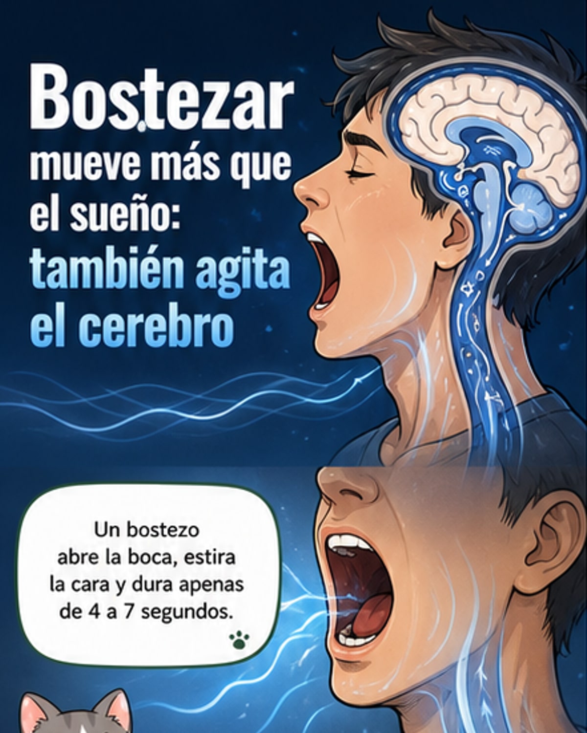 ¿Por qué bostezamos? La ciencia lo explica