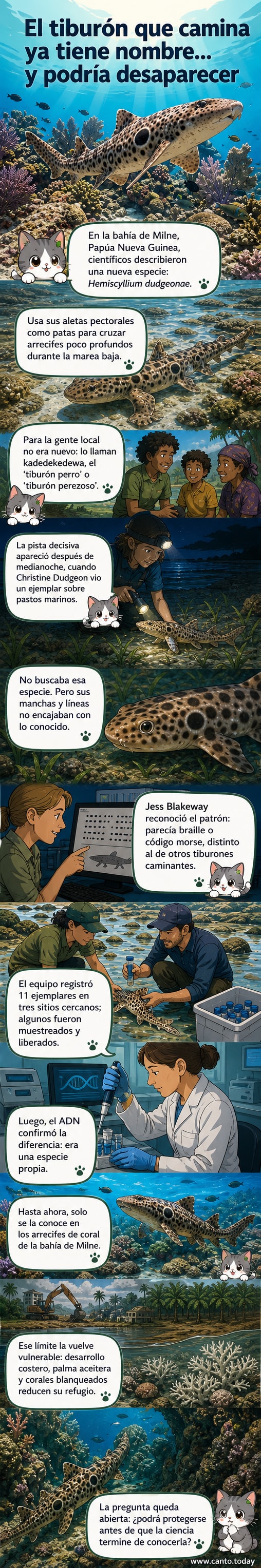 Ilustración de un tiburón caminante sobre un arrecife de Papúa Nueva Guinea, con un patrón de manchas que recuerda al braille, bajo un cielo crepuscular.