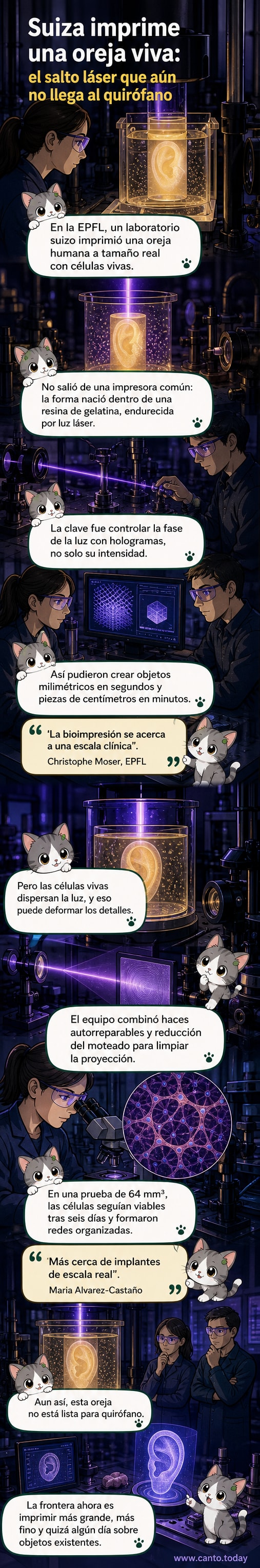 Representación visual de una oreja humana impresa en 3D con células vivas, mostrando detalles de la estructura biológica y el proceso de iluminación holográfica.