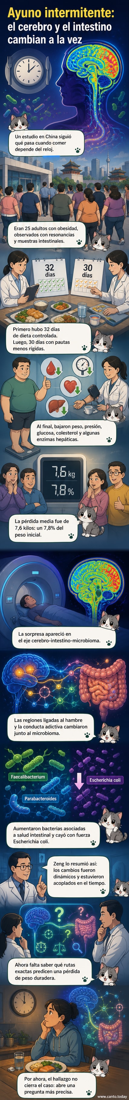 Ilustración de un cerebro conectado con el intestino, mostrando señales químicas y neuronales fluyendo entre ambos, con iconos de bacterias saludables y de hambre disminuyendo.