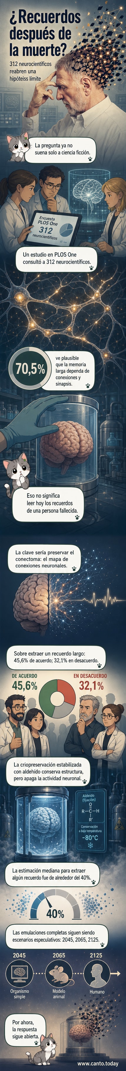 Ilustración de un cerebro humano con redes neuronales brillantes, simbolizando la posible persistencia de recuerdos tras la muerte.