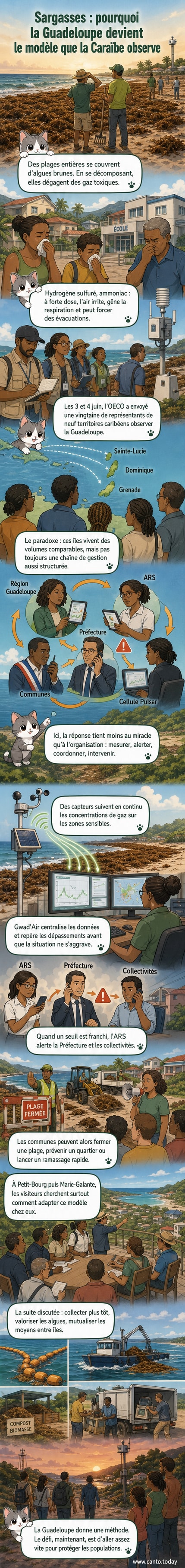 Une plage de Guadeloupe envahie par des amas bruns de sargasses, avec des techniciens en combinaison vérifiant un capteur de gaz toxique installé en bord de mer.