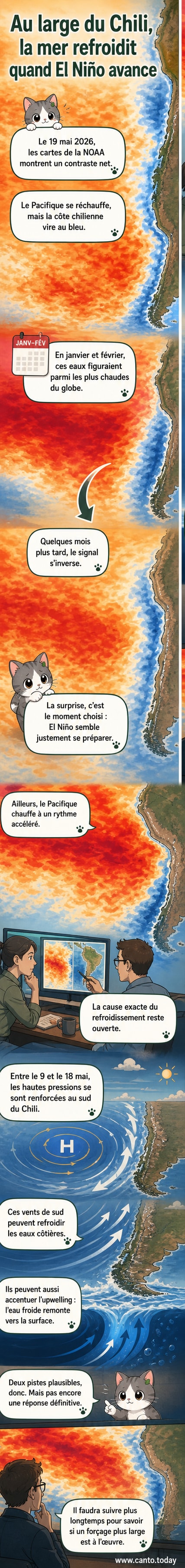Carte satellite montrant les anomalies de température de surface de la mer en mai 2026, avec une zone bleue de refroidissement au large des côtes chiliennes contrastant avec le réchauffement généralisé du Pacifique.