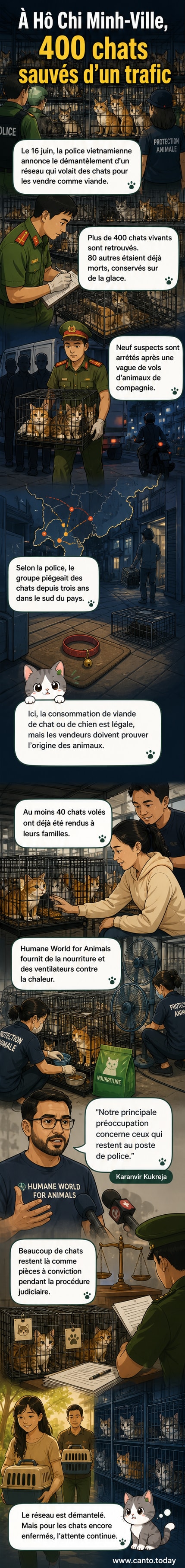 Des chats en cage, récupérés par la police dans un centre de détention à Hô Chi Minh-Ville après le démantèlement d’un réseau de trafic.