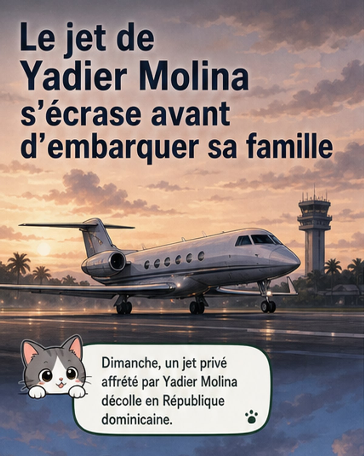 Deux morts dans le crash d’un jet privé de Yadier Molina