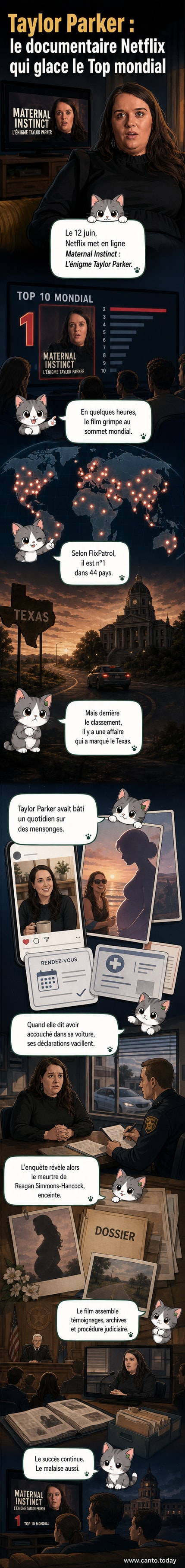 Affiche du documentaire Netflix 'Maternal Instinct : L’énigme Taylor Parker', avec une femme en ombre portant un enfant, entourée de symboles de réseaux sociaux et de traces de sang.