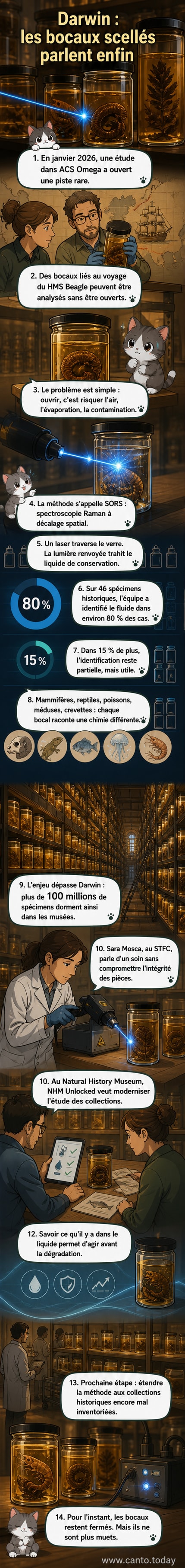 Illustration d'un bocal en verre scellé contenant un spécimen marin, éclairé par un faisceau laser bleu qui traverse le verre et révèle des données chimiques en surimpression.