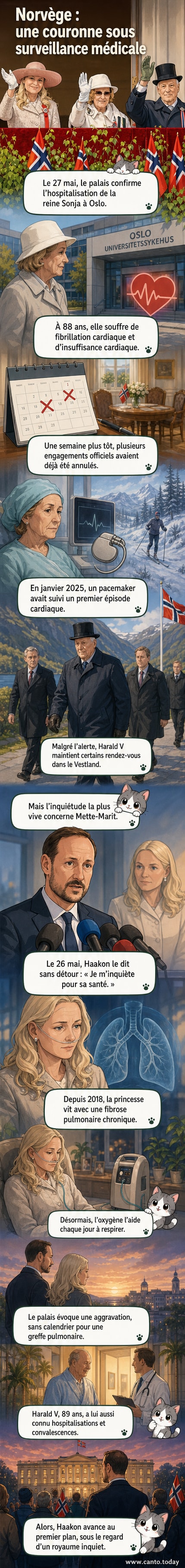 Illustration stylisée de la famille royale norvégienne avec des silhouettes floues entourées d’icônes médicales : cœur battant, poumon endommagé, stéthoscope.