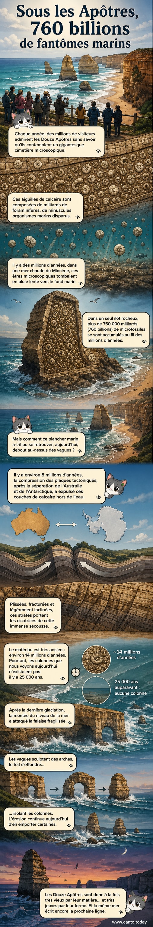 Vue aérienne des Douze Apôtres en Australie, falaises calcaires dressées dans l’océan, avec des détails montrant les strates sédimentaires et une représentation stylisée de microfossiles dans la roche.