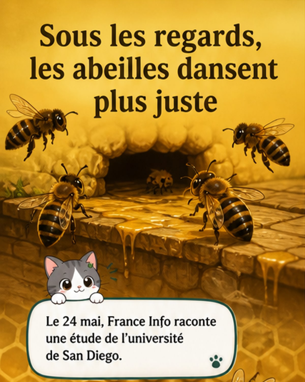 Les abeilles dansent mieux sous les yeux des autres