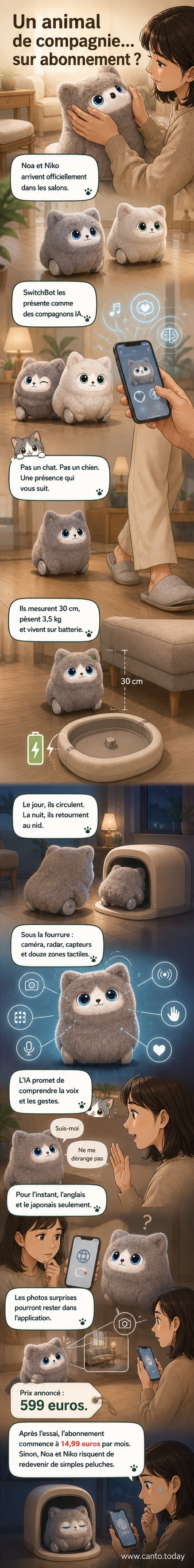 Deux robots sphériques pelucheux, Noa (blanc) et Niko (gris), aux grands yeux expressifs sur écran, posés au sol dans un salon.