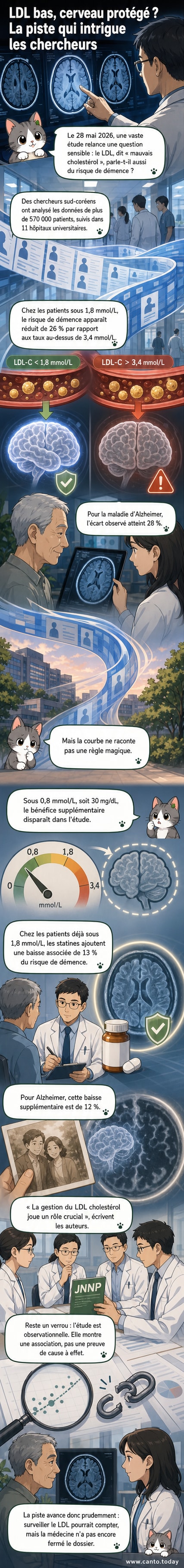 Illustration d’un cerveau humain avec des molécules de cholestérol LDL et HDL circulant autour, sur fond médical stylisé.