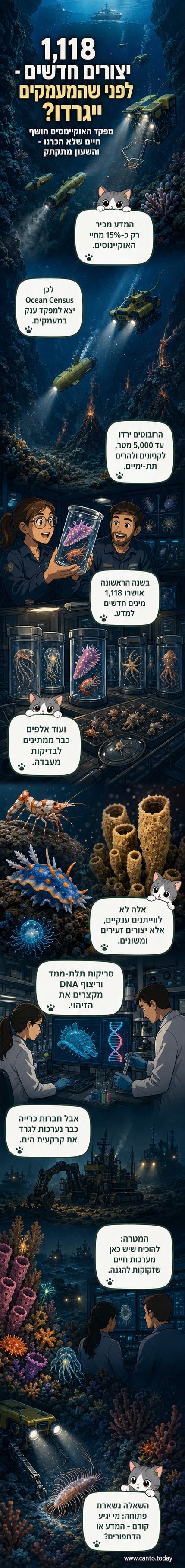 איור של יצורים ימיים מוזרים וצבעוניים מהעומק, כולל סרטן פסיכדלי, ספוג ענק וחשופית ים זוהרת, סביבם רובוטים וצוללות מחקר בתאורה חלשה.
