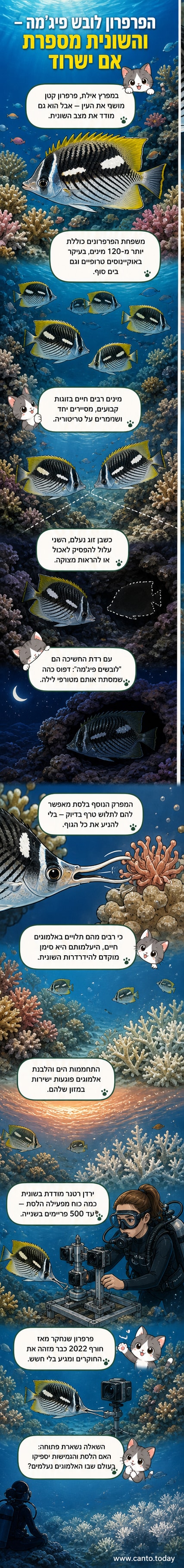 דג פרפרון בצבעים זוהרים שוחה בין שברי אלמוגים בשונית, עם פסיפס מובהק של קווים שחורים וכתומים.