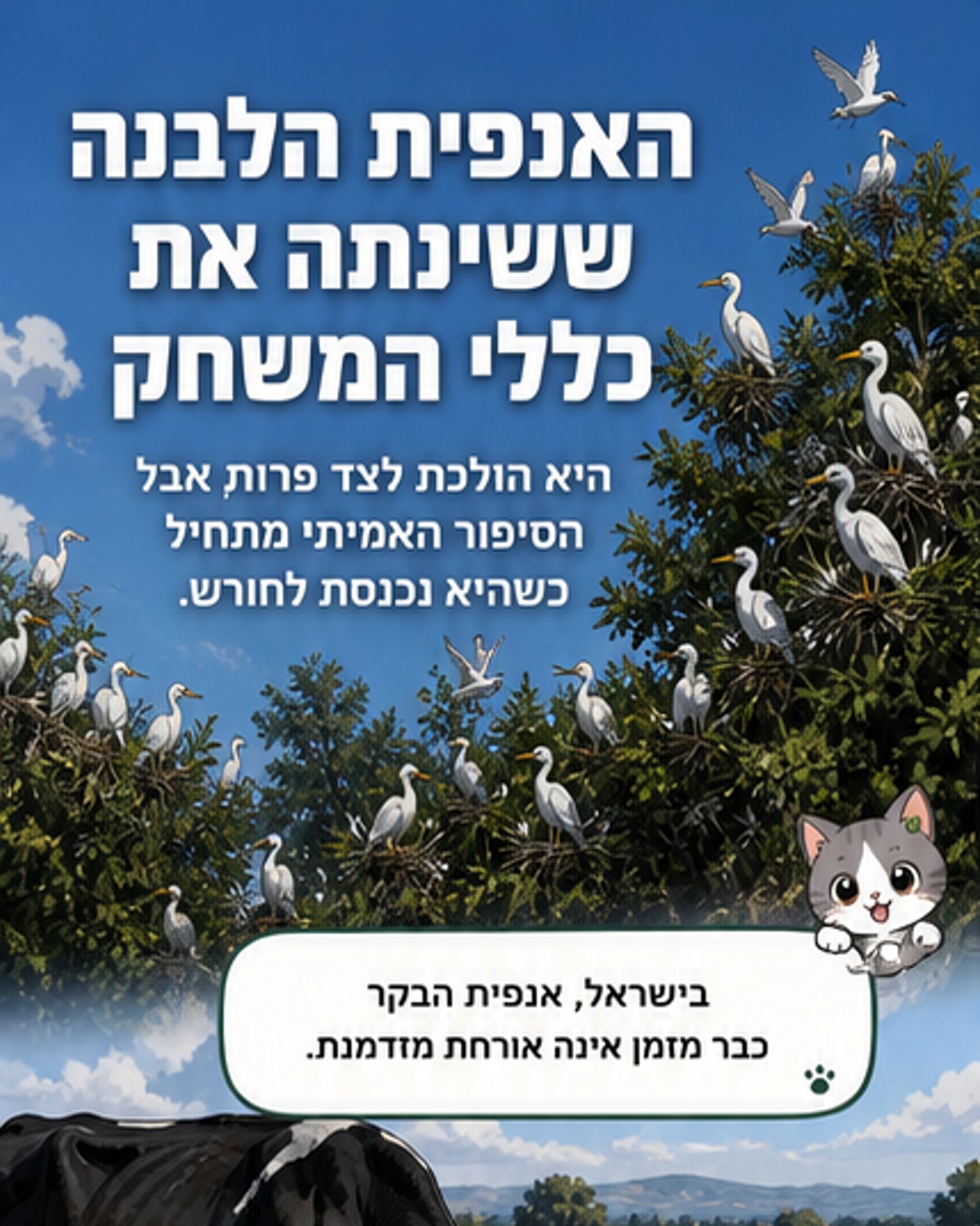 הסודות של אנפית הבקר