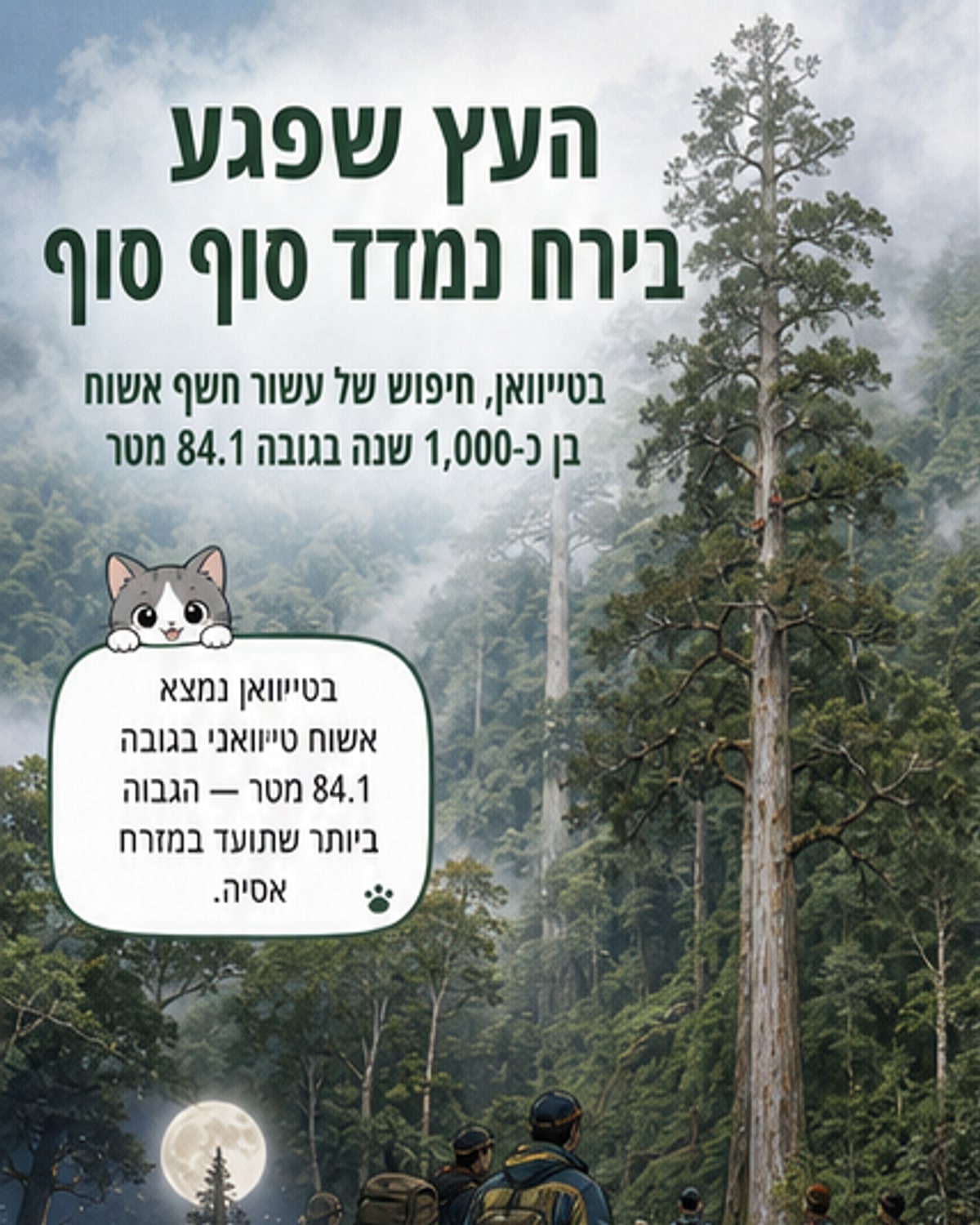 העץ הגבוה במזרח אסיה: 84 מטר