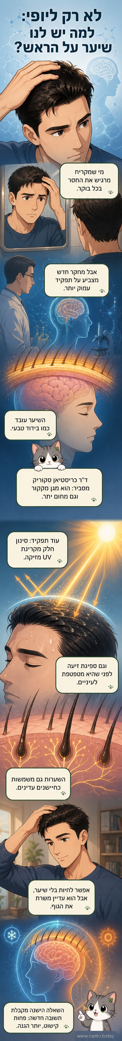 איור של ראש بشער, עם חצים שמראים כיצד השיער חוסם קרינה UV, ניגב זיעה ומבודד את הראש.