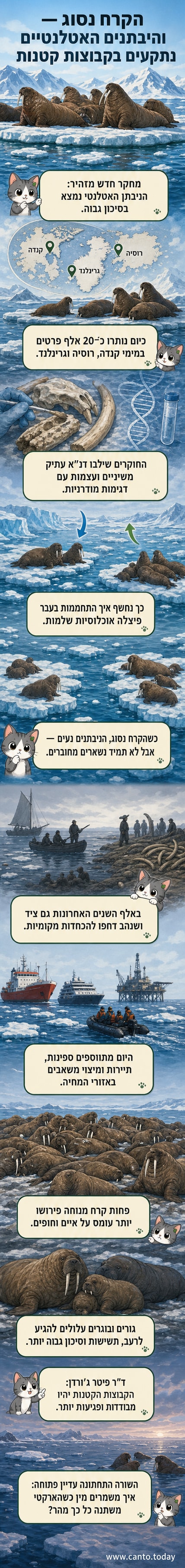 איור של ניבתן אטלנטי על רקע קרחון נסוג, עם קווי פיצול גנטי מוצגים סביבו, שמייצגים את ההתפצלות הגנטית של האוכלוסייה.