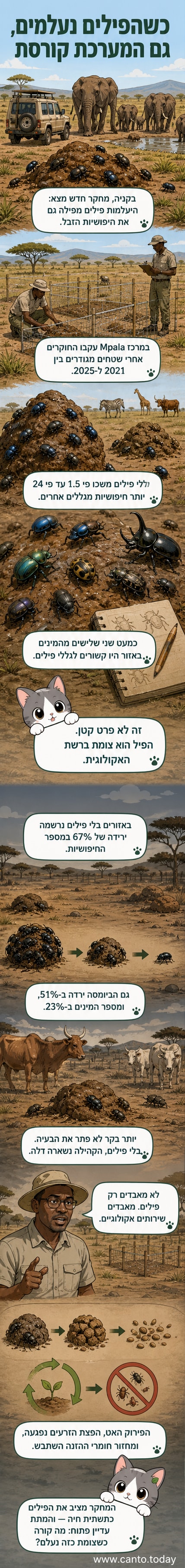 איור של סavana עם פילים, חיפושיות זבל על גללים, ושרשראות אקולוגיות שמתפרקות.