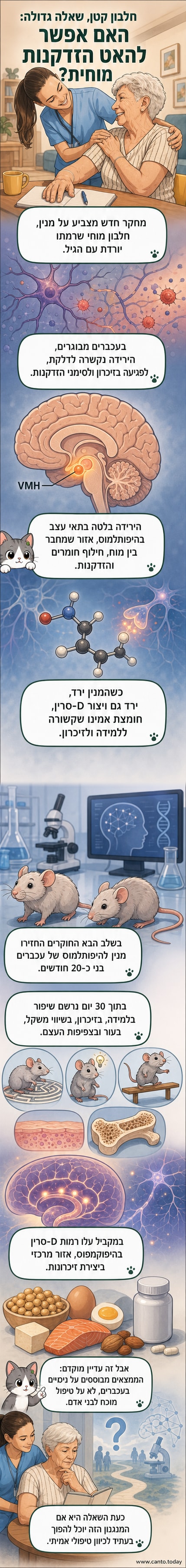 איור מוח עכברור עם הדגשה על היפותלמוס והיפוקמפוס, וצלם של תוסף D-סרין על רקע רקמות עור ועצם.