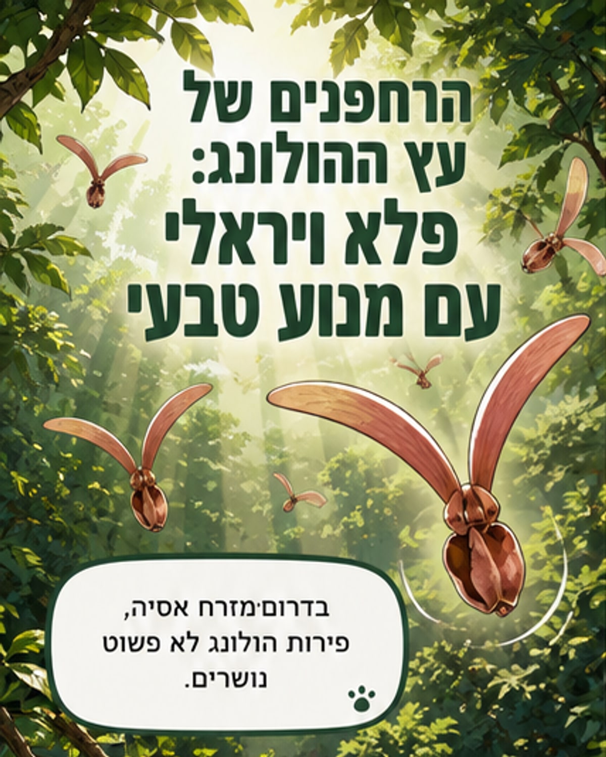 הפירות שמסתחררים כמו מסוקים