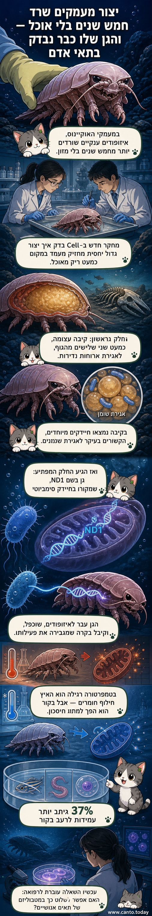 איור של איזופוד ענק בעומק האוקיינוס, עם חתך של גוף שמראה קיבה גדולה ומבנה גנטי של הגן ND1 בתא